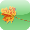 no app image